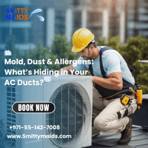 Read more about the article Mold, Dust & Allergens: What’s Hiding in Your AC Ducts?