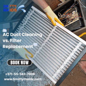 Read more about the article AC Duct Cleaning vs. Filter Replacement – What’s the Difference?