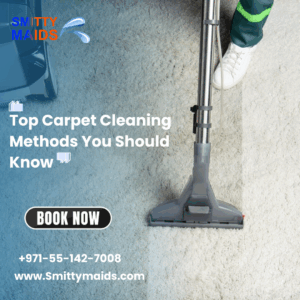 Read more about the article Top Carpet Cleaning Methods You Should Know