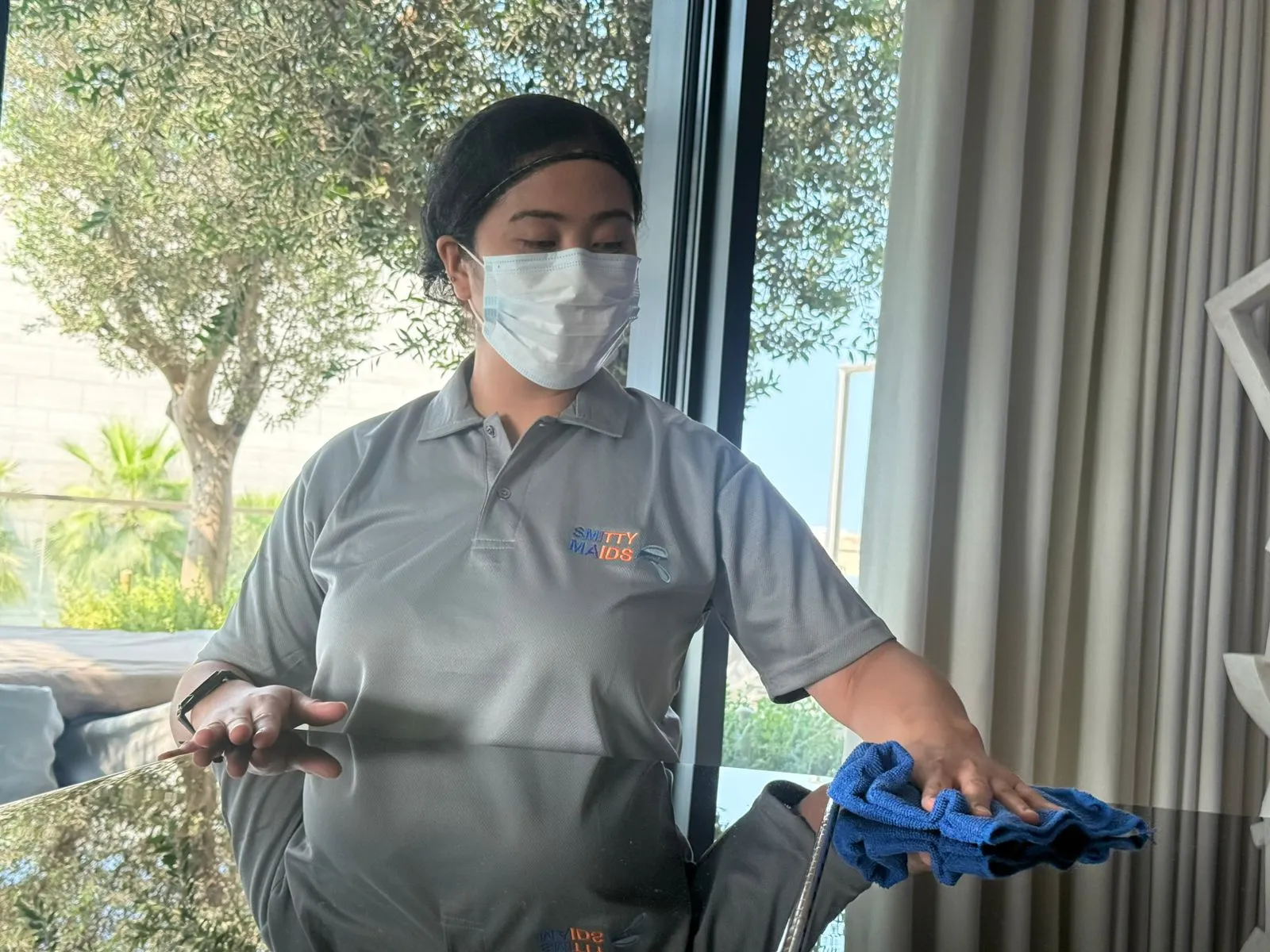 image is for dusting